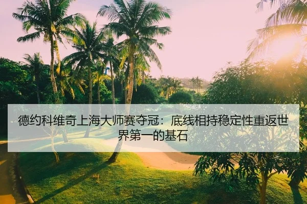 德约科维奇上海大师赛夺冠：底线相持稳定性重返世界第一的基石