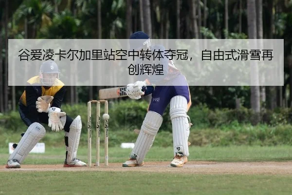 gu-ai-ling-ka-er-jia-li-zhan-kong-zhong-zhuan-ti-duo-guan-zi-you-shi-hua-xue-zai-chuang-hui-huang-2-731.jpg